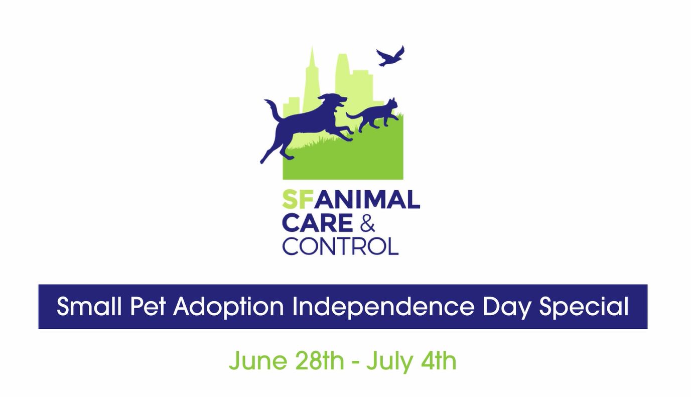 Small Pet Adoption Independence Day Special - San Francisco Animal Care ...