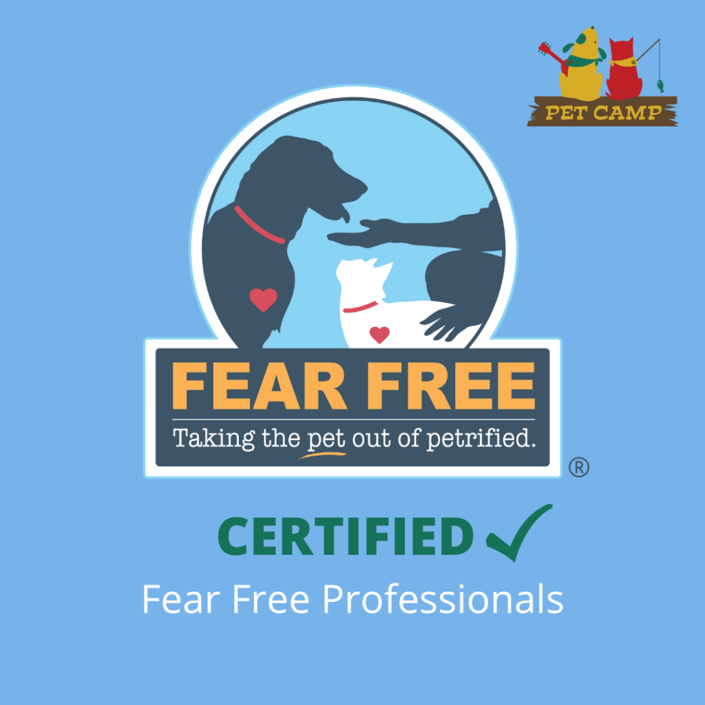 Fear Free :: Taking the pet out of petrified